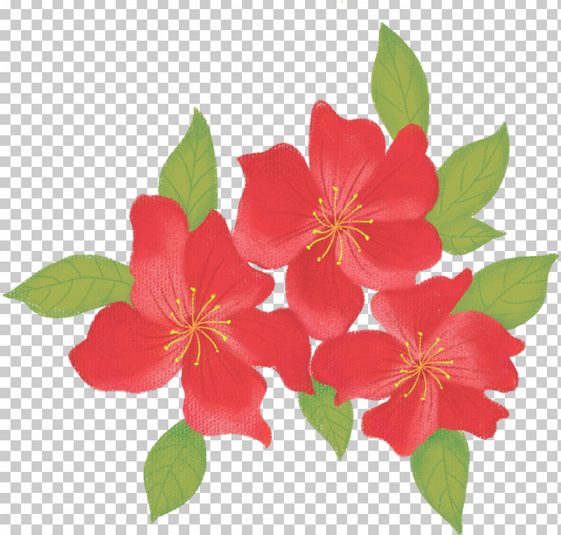 Flower Petal Plant Camellia Sasanqua Prickly Rose PNG, Clipart, Camellia Sasanqua, Flower, Impatiens, Petal, Plant Free PNG Download