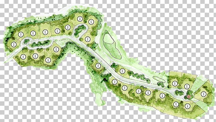 Body Jewellery Organism Shoe PNG, Clipart, Body Jewellery, Body Jewelry, Jewellery, Miscellaneous, Organism Free PNG Download