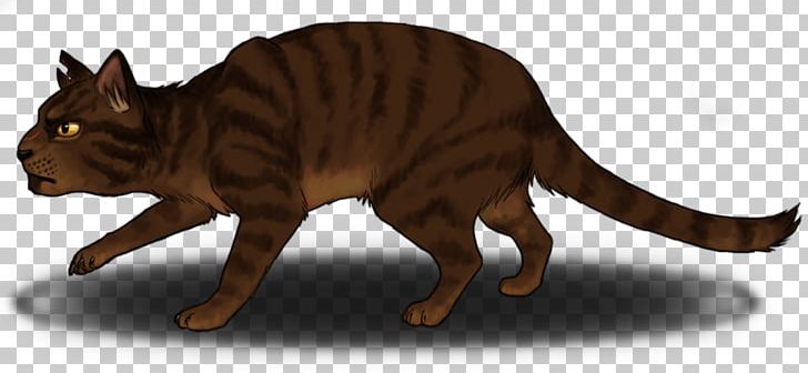 Whiskers Cat Tiger Tawnypelt Art PNG, Clipart, Animal, Animal Figure, Animals, Art, Artist Free PNG Download