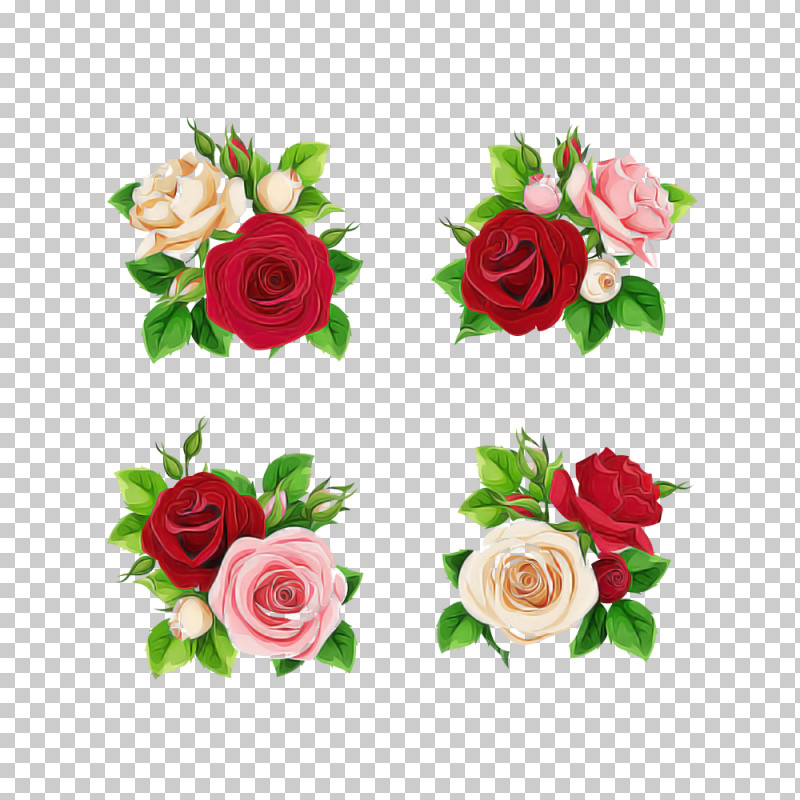 Garden Roses PNG, Clipart, Bouquet, Camellia, Cut Flowers, Floribunda, Flower Free PNG Download