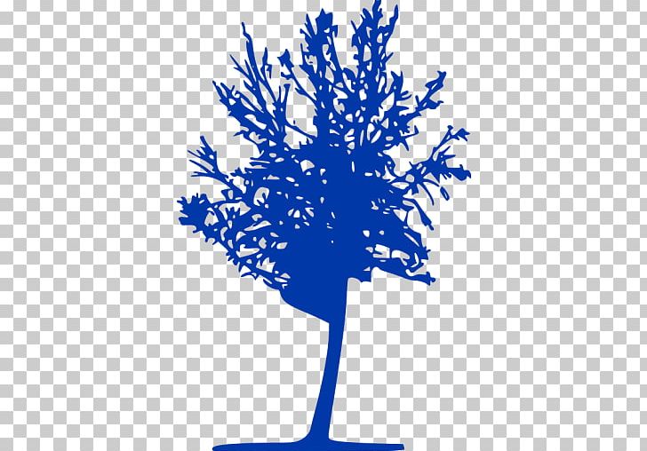 Bicycle Cycling Segregated Cycle Facilities Tree Lane PNG, Clipart, Area, Artwork, Bicycle, Blue, Branch Free PNG Download