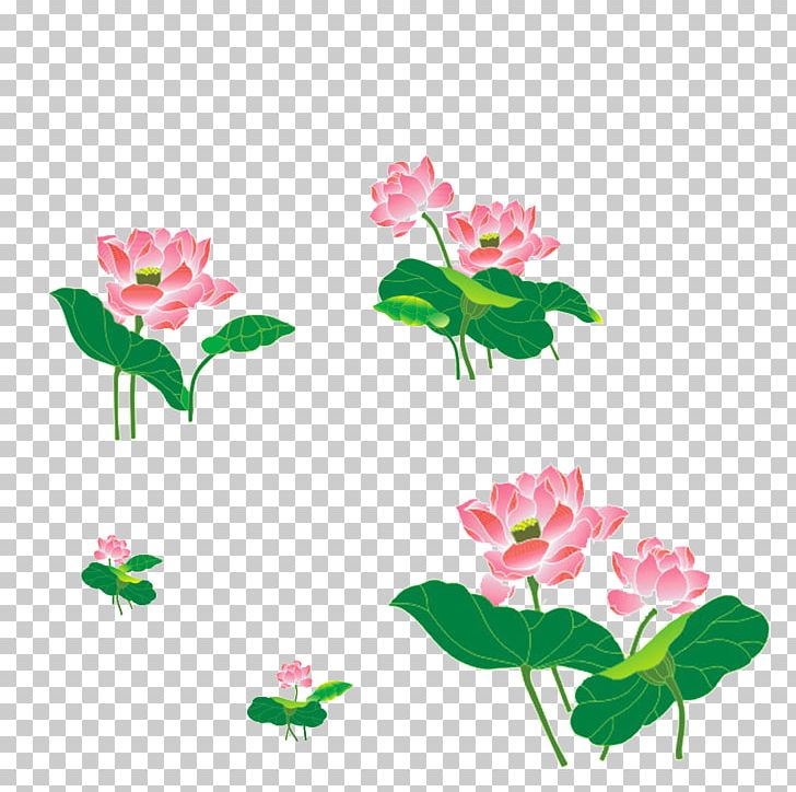 Floral Design Nelumbo Nucifera Cut Flowers PNG, Clipart, Annual Plant, Cartoon, Flora, Flora, Floristry Free PNG Download