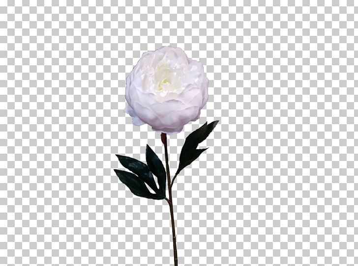 Peony Artificial Flower Cut Flowers Plant Stem PNG, Clipart, Artificial Flower, Bark, Cut Flowers, Flower, Flower Bouquet Free PNG Download