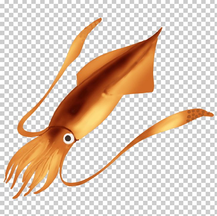 Squid Illustration Ikameshi Heterololigo Sashimi PNG, Clipart, Animal Source Foods, Cephalopod, Consul, Decapodiformes, Invertebrate Free PNG Download