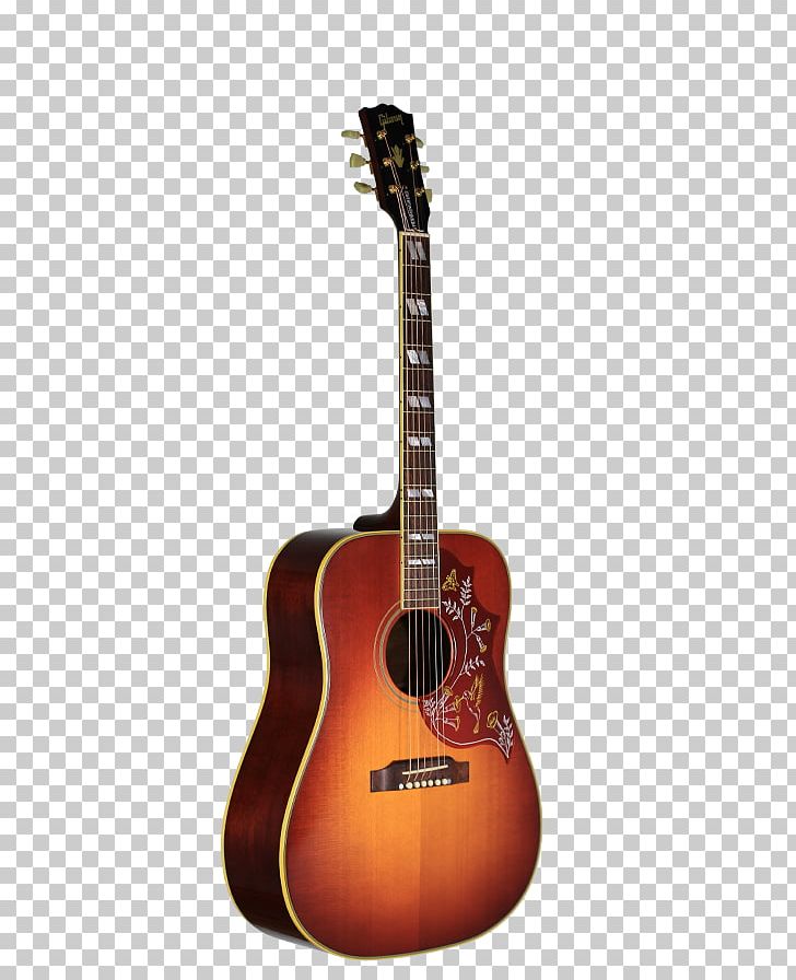 Acoustic Guitar Acoustic-electric Guitar Bass Guitar Tiple PNG, Clipart, Acousticelectric Guitar, Acoustic Electric Guitar, Acoustic Guitar, Cuatro, Guitar Free PNG Download