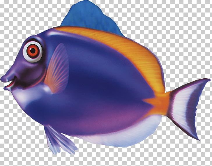 Bream Computer Icons PNG, Clipart, Bream, Clip Art, Common Bream, Computer Icons, Coral Reef Fish Free PNG Download
