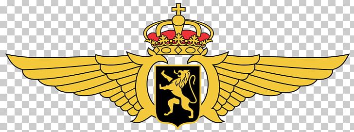 NHIndustries NH90 Belgian Air Component Bierset Airbase Air Force Belgian Armed Forces PNG, Clipart, Air, Air Force, Aviator Badge, Belgian, Belgian Air Component Free PNG Download