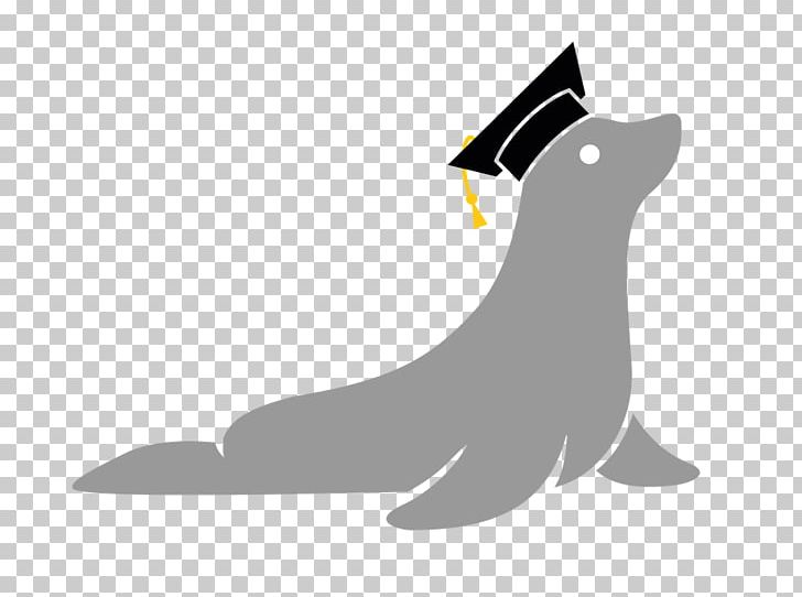 Sea Lion Dog Pinniped Logo PNG, Clipart, Academy, Animal, Animals, Beak, Bird Free PNG Download