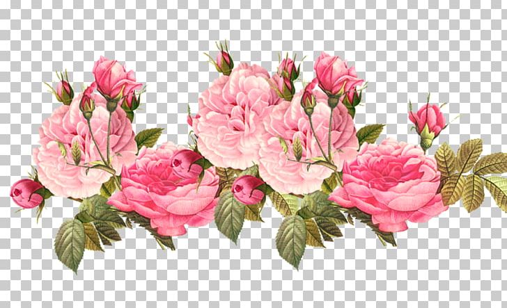 Vintage Clothing Flower Floral Design PNG, Clipart, Azalea, Blossom, Branch, Centifolia Roses, Cut Flowers Free PNG Download