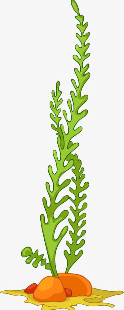 Green Hand Painted Water Grass PNG, Clipart, Algae, Bath, Creatures, Grass Clipart, Green Free PNG Download