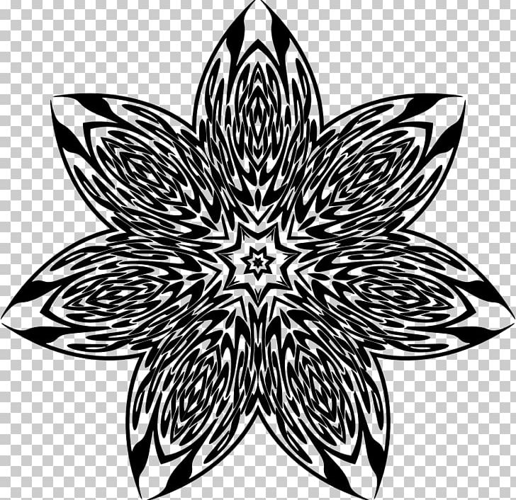 Symmetry Symbol Line Flowering Plant Pattern PNG, Clipart, Black And White, Circle, Flora, Flower, Flowering Plant Free PNG Download