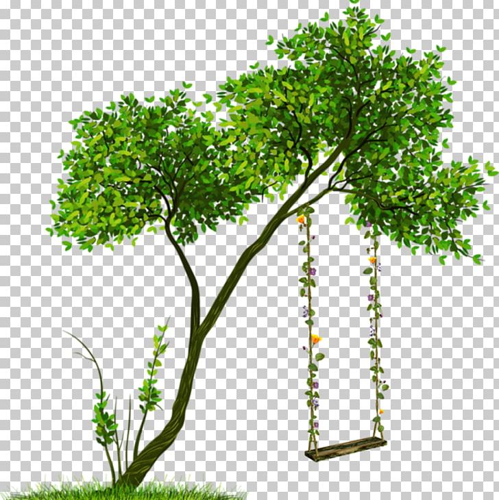 Tree Transparency Portable Network Graphics Shrub PNG, Clipart, Branch, Computer Icons, Drawing, Flowering Plant, Flowerpot Free PNG Download