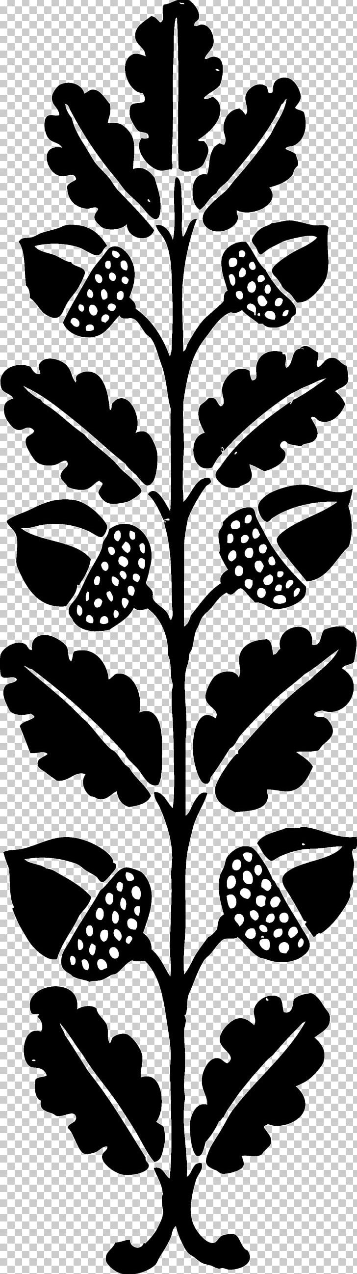 Acorn Black And White PNG, Clipart, Acorn, Acorn Woodpecker, Black And White, Blog, Clip Art Free PNG Download