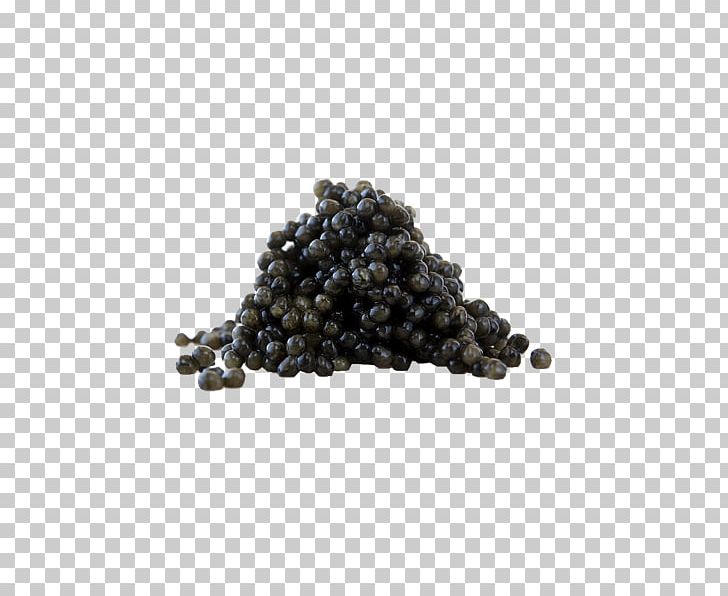 Beluga Caviar Beluga Caviar Food Choline PNG, Clipart, American Paddlefish, Beluga, Beluga Caviar, Caviar, Choline Free PNG Download