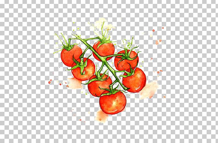 Juice Cherry Tomato Watercolor Painting Vegetable Illustration PNG, Clipart, Art, Botanical Illustration, Diet Food, Digital Painting, Drawing Free PNG Download