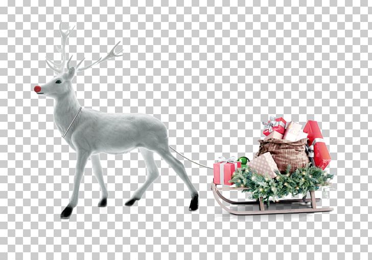 Rudolph Reindeer Santa Claus Christmas PNG, Clipart, Antler, Christmas Decoration, Christmas Frame, Christmas Lights, Christmas Tree Free PNG Download
