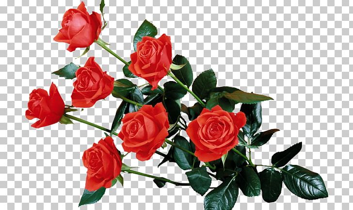 Drawing Rose Cut Flowers PNG, Clipart, Artificial Flower, Cut Flowers, Drawing, Floral Design, Floristry Free PNG Download