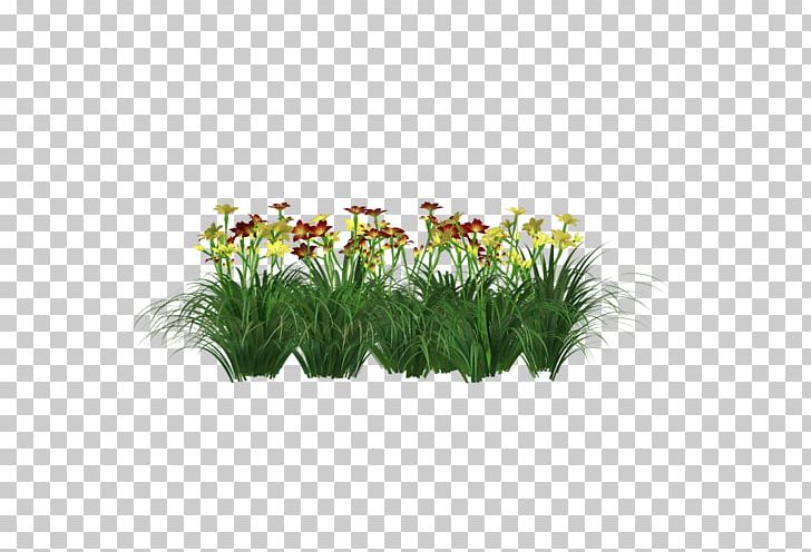 Grasses Flowerpot Plant Stem Shrub PNG, Clipart, Aquarium Decor, Country Style, Family, Flower, Flowering Plant Free PNG Download