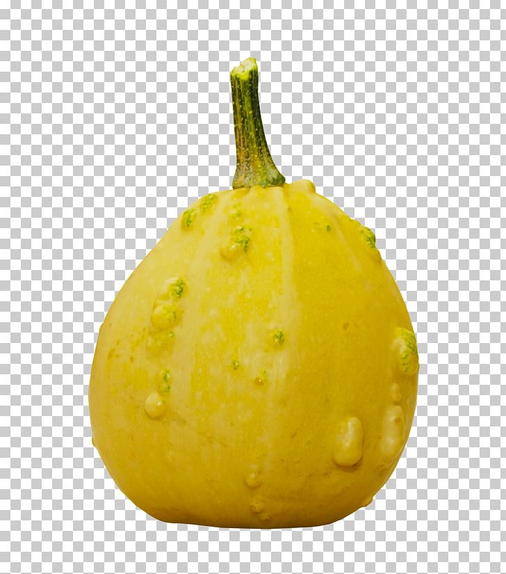 Pattypan Squash PNG, Clipart, Food, Fruit, Gourd, Miscellaneous, Natural Foods Free PNG Download