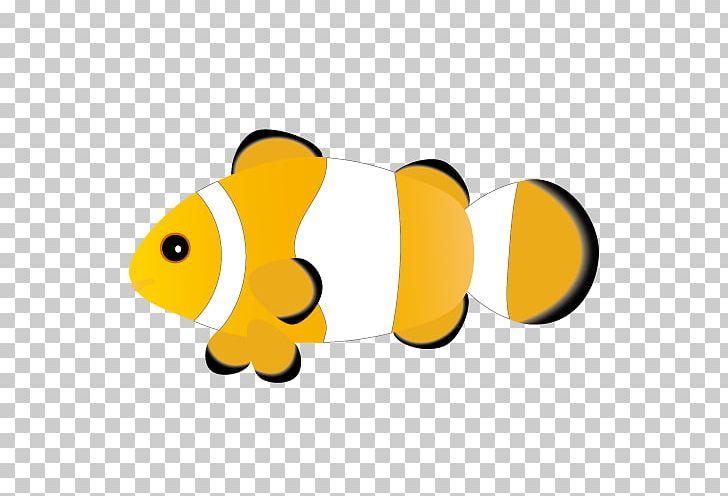 Web Design Ocellaris Clownfish Nemo PNG, Clipart,  Free PNG Download