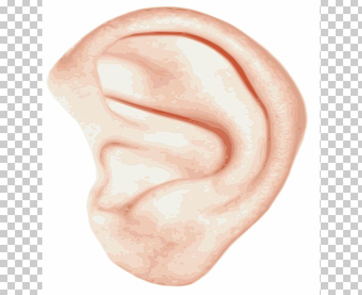 Ear PNG, Clipart, Auditory System, Cheek, Chin, Closeup, Computer Icons Free PNG Download
