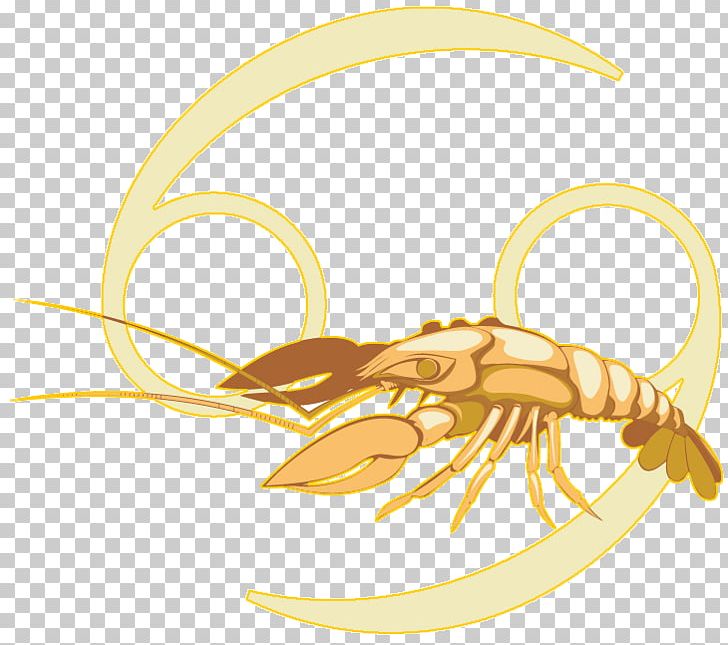 Horoscope Zodiac Capricorn Crab Month PNG, Clipart, Animal, Cancer Astrology, Capricorn, Crab, Decapoda Free PNG Download