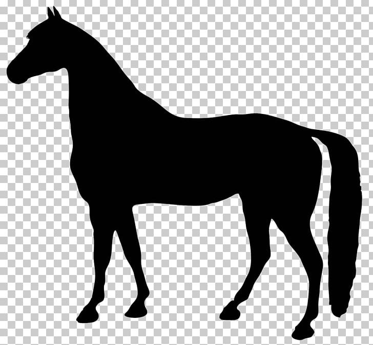 standing horse silhouette