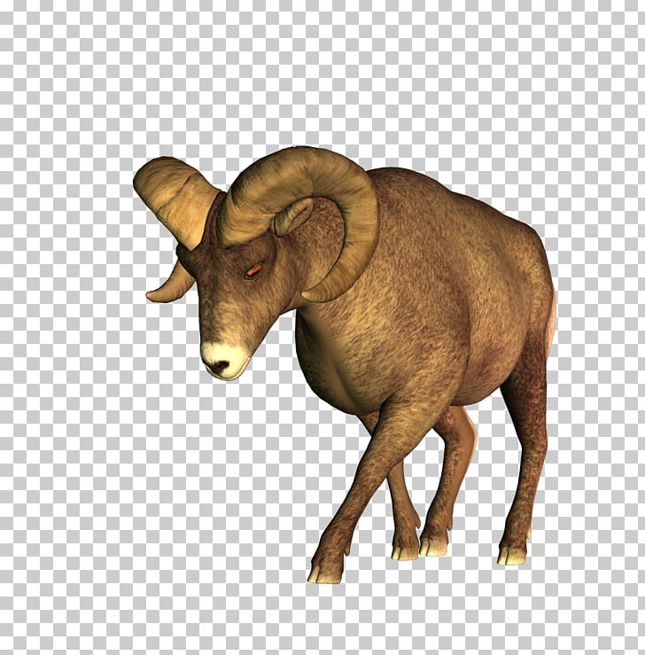 Barbary Sheep Cattle PNG, Clipart, Animal, Animals, Barbary Sheep, Bighorn, Big Horn Free PNG Download