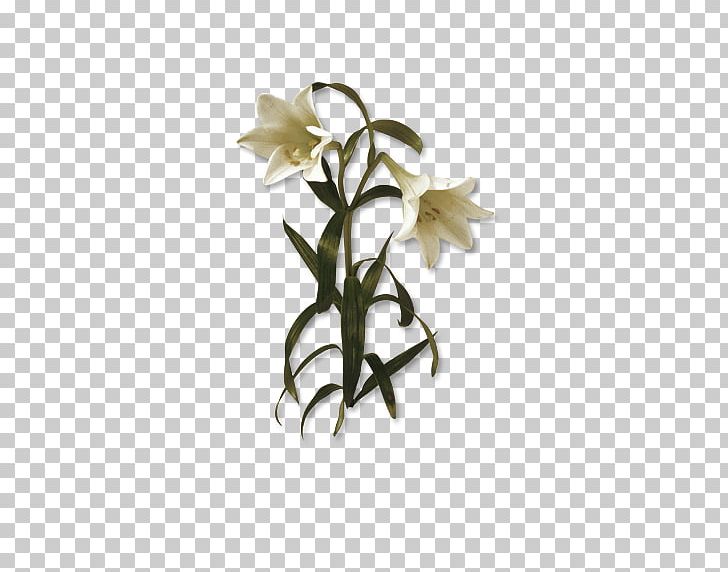 Flower Lilium PNG, Clipart, Amaryllis, Calla Lily, Cut Flowers, Download, Encapsulated Postscript Free PNG Download