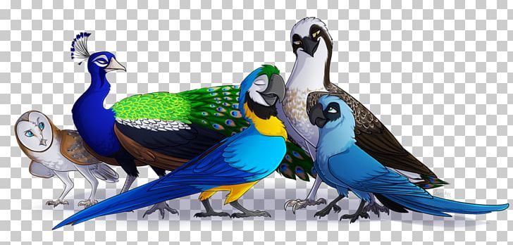 Bird Parrot Spix's Macaw Goose PNG, Clipart, American Wigeon, Animals, Beak, Bird, Blackbellied Whistling Duck Free PNG Download