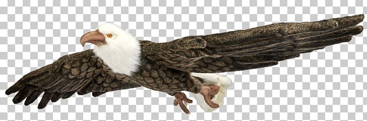 Bald Eagle Stuffed Animals & Cuddly Toys Bird Vulture PNG, Clipart, Accipitriformes, Amp, Animal, Animal Figure, Animals Free PNG Download