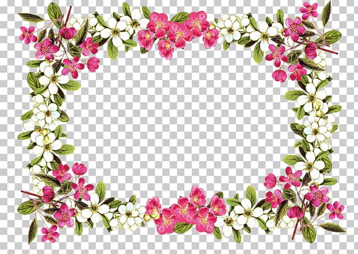 Border Flowers Frames PNG, Clipart, Amulet, Blossom, Border, Border Flowers, Branch Free PNG Download