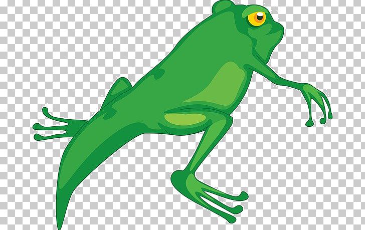 Frog Tadpole Cartoon PNG, Clipart, Animals, Artwork, Balloon Cartoon, Boy Cartoon, Cane Toad Free PNG Download