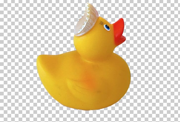 Rubber Duck Yellow Natural Rubber Toy PNG, Clipart, Animals, Beak, Bird, Cartoon, Crown Free PNG Download