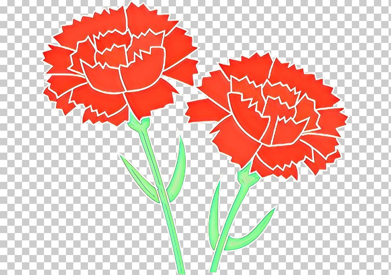 Carnation Flower Plant Tagetes Cut Flowers PNG, Clipart, Carnation, Cut Flowers, Dianthus, Flower, Pink Family Free PNG Download
