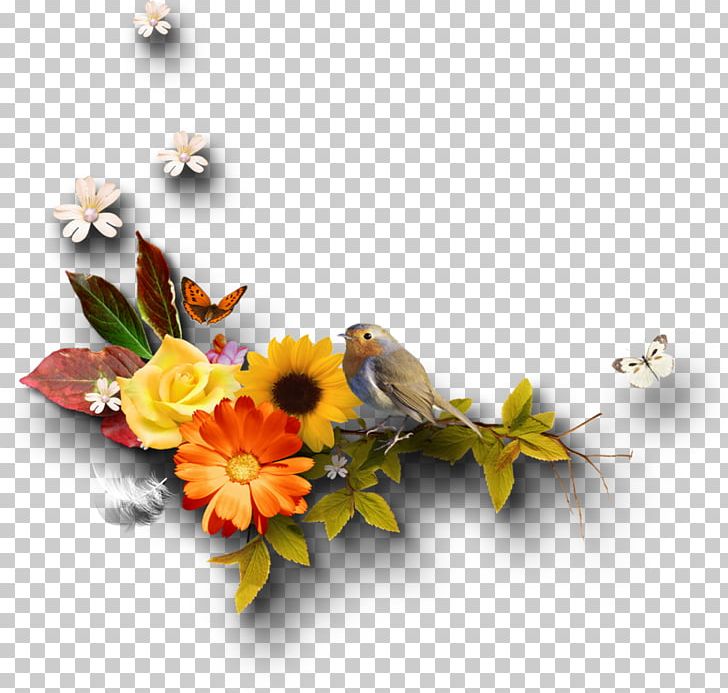 Autumn PNG, Clipart, Akhir Pekan, Autumn, Computer Wallpaper, Cut Flowers, Daisy Free PNG Download
