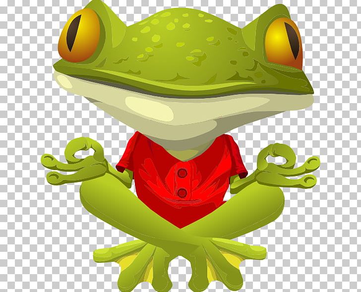 Frog Lithobates Clamitans Yoga PNG, Clipart, Amphibian, Animals, Big Frogs, Drawing, Frog Free PNG Download