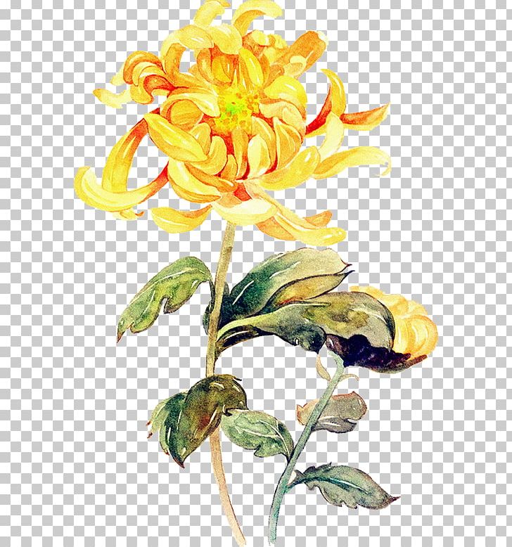 Watercolor Painting Chrysanthemum Illustration PNG, Clipart, Cut Flowers, Floristry, Flower, Flower Arranging, Flower Bouquet Free PNG Download