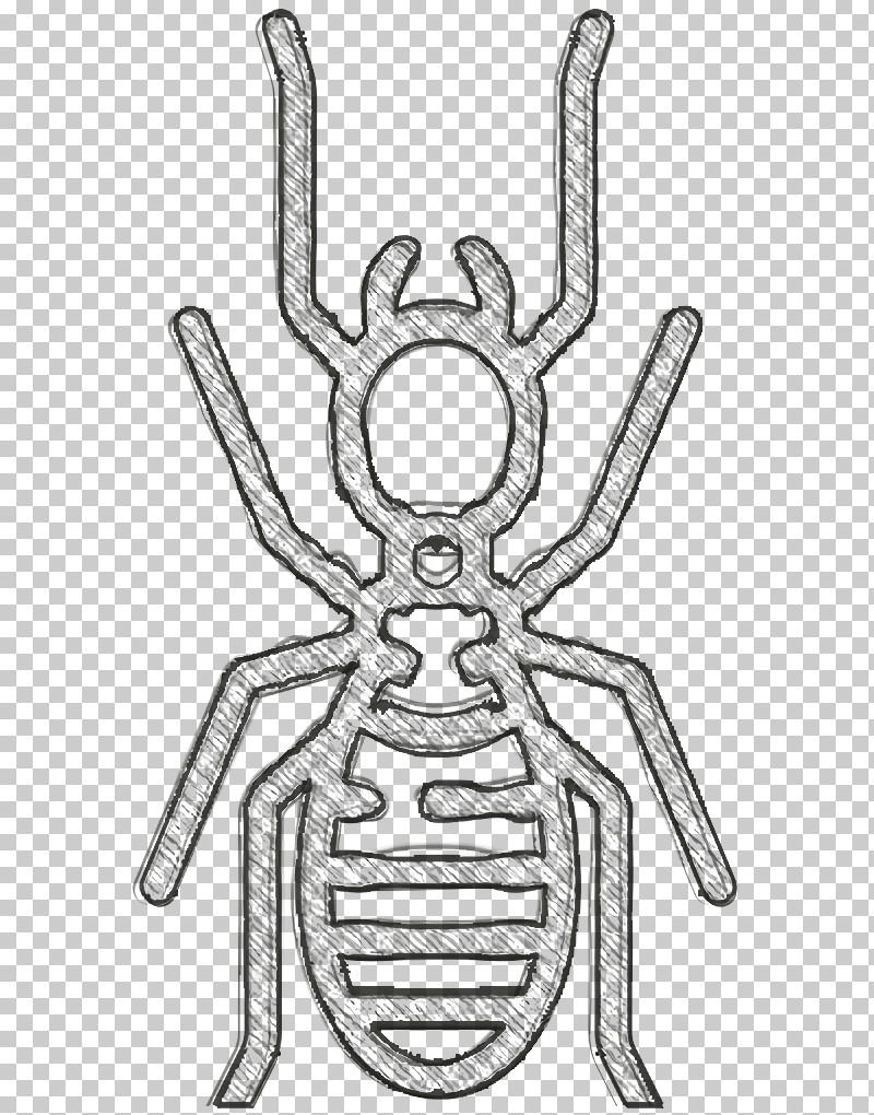 Insects Icon Termite Icon Insect Icon PNG, Clipart, Biological Membrane, Black And White, Decapods, Insect Icon, Insects Free PNG Download