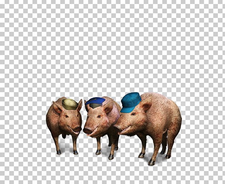 Domestic Pig The Witcher 3: Wild Hunt The Three Little Pigs PNG, Clipart, Animals, Cattle Like Mammal, Domestic Pig, Fable, Fairy Tale Free PNG Download