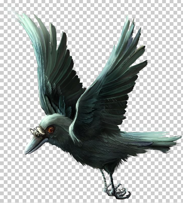 Icon PNG, Clipart, Adobe Illustrator, Animals, Beak, Bird, Bird Of Prey Free PNG Download