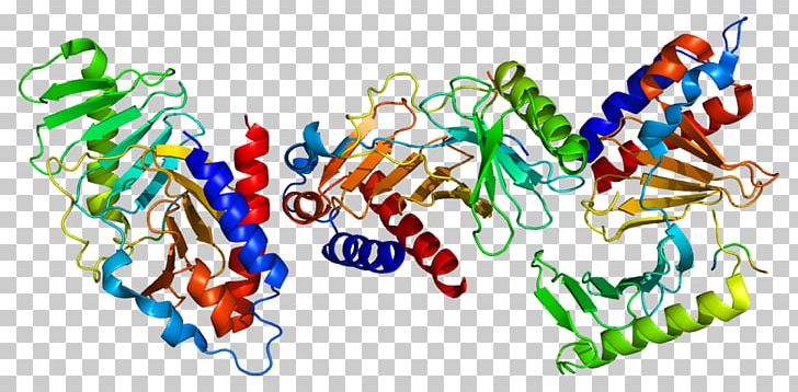 PLK1 Polo-like Kinase Volasertib Protein PNG, Clipart, Amino Acid, Atm Serinethreonine Kinase, Enzyme, Graphic Design, Kinase Free PNG Download