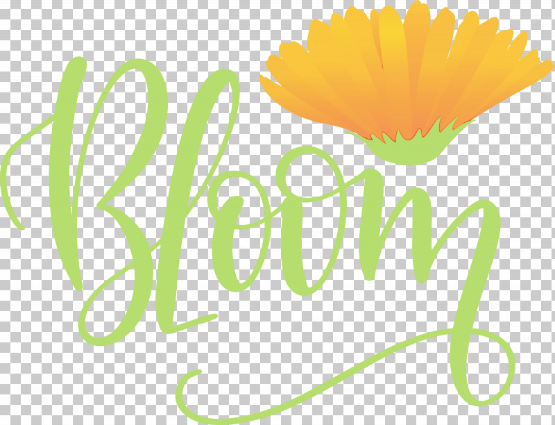 Logo Text Daisy Family Flower PNG, Clipart, Bloom, Daisy Family, Flower, Logo, Paint Free PNG Download