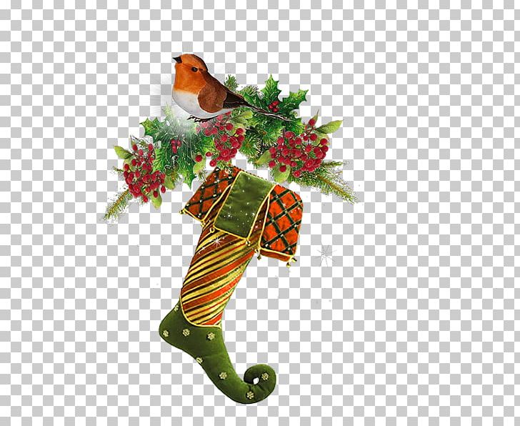 Boot Christmas Shoe PNG, Clipart, Accessories, Birdie, Boots, Branch, Christmas Decoration Free PNG Download