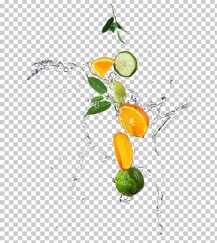 Lemon Water Lime Orange Photography PNG, Clipart, Attack, Citrus, Food, Fruit, Fruit Juice Free PNG Download