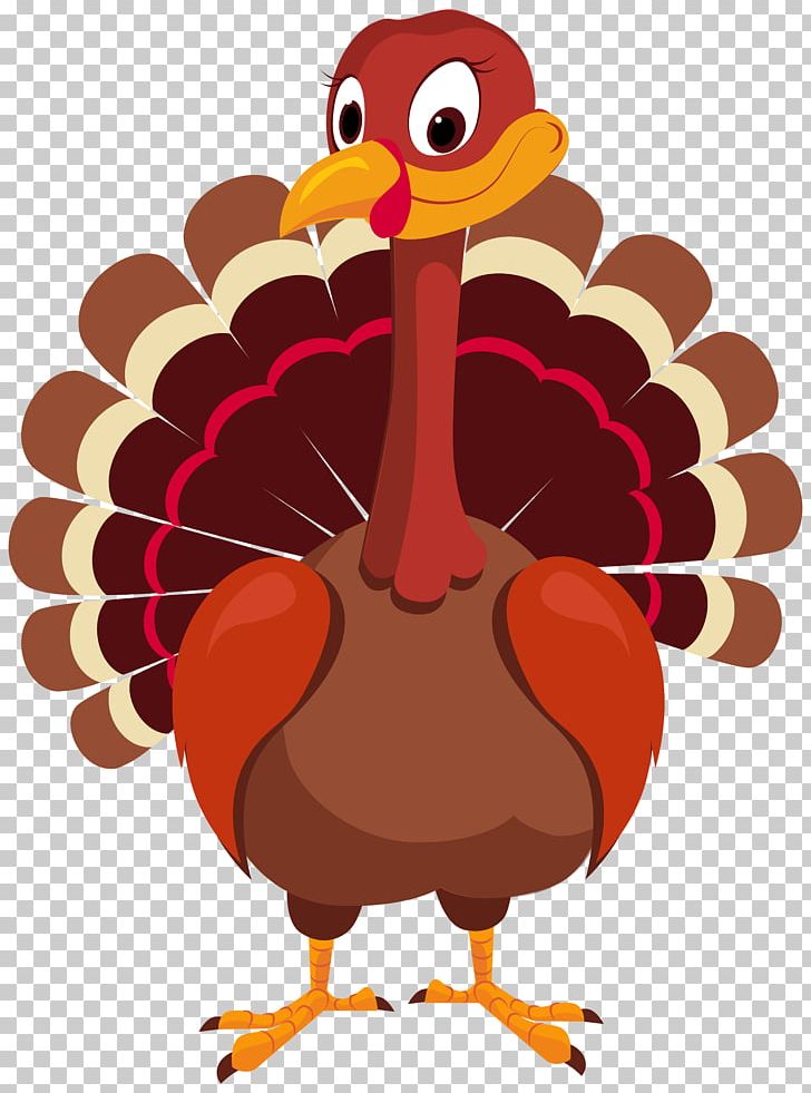 Turkey Meat PNG, Clipart, Beak, Bird, Blog, Chicken, Computer Icons Free PNG Download