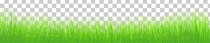 Wheatgrass Green Leaf Plant Stem PNG, Clipart, Clip Art, Clipart, Computer Wallpaper, Desktop Wallpaper, Energy Free PNG Download