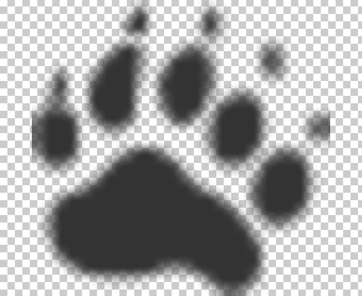 All Things Wild Wildlife Removal Dog Saint-Basile PNG, Clipart, Animal, Animals, Bear, Black, Black And White Free PNG Download