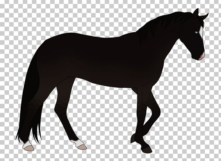 American Quarter Horse Stallion Friesian Horse Black PNG, Clipart, Animal Figure, Black, Bridle, Colt, Drawing Free PNG Download