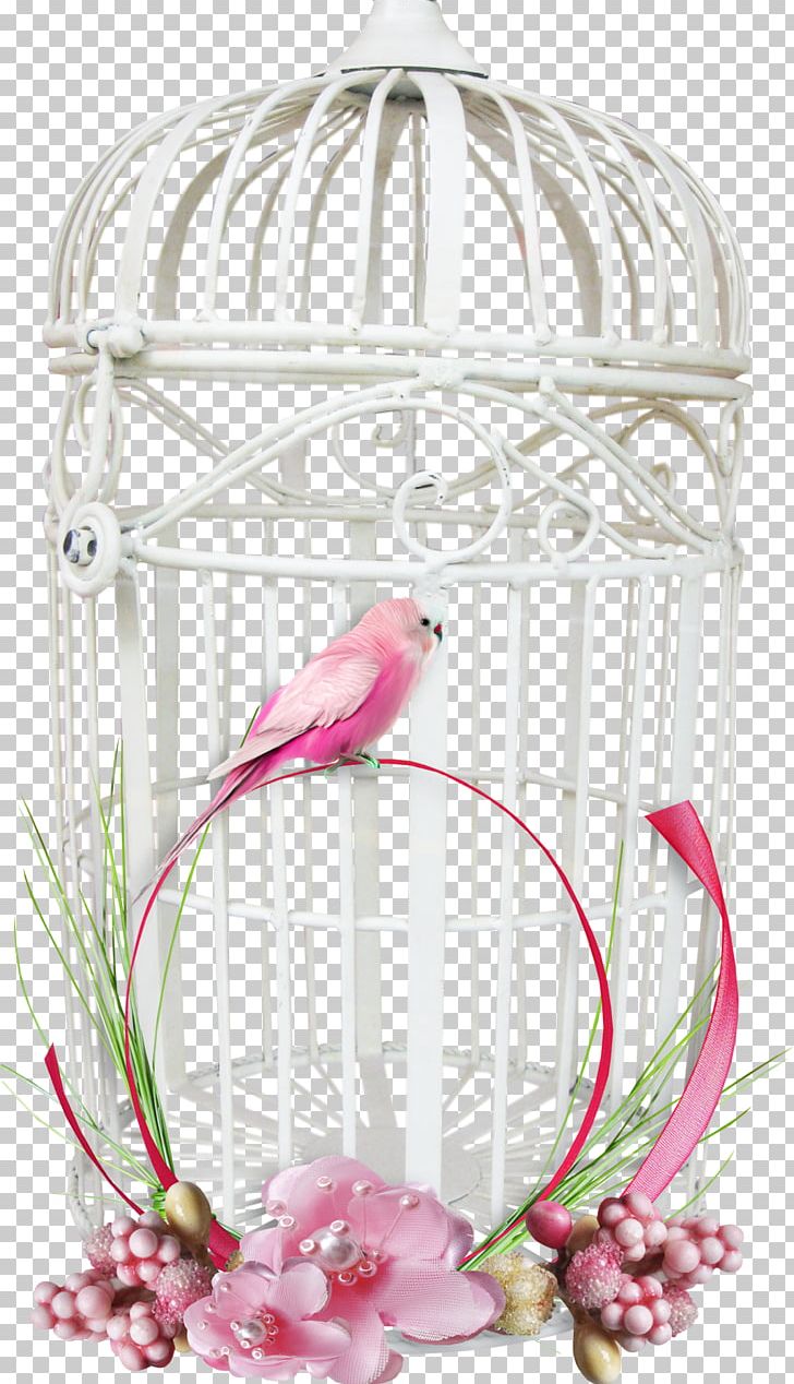 Cage PNG, Clipart, Cage Free PNG Download